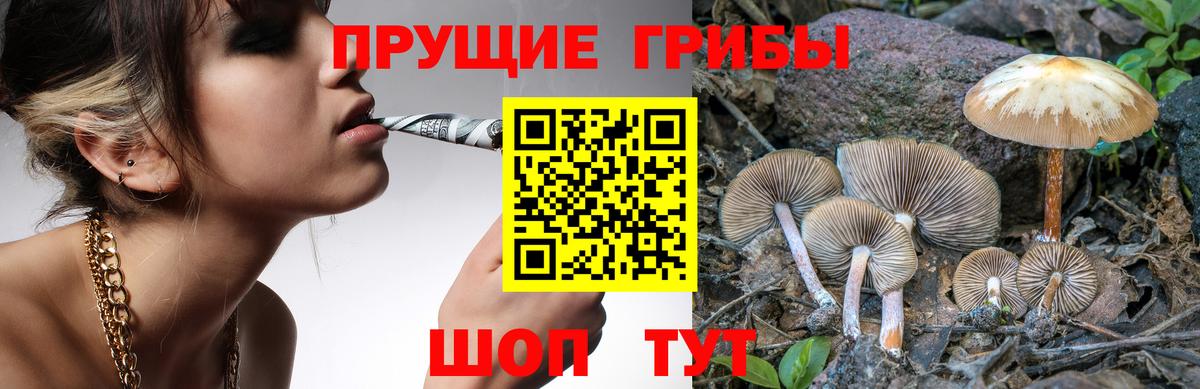 Галлюциногенные грибы прущие грибы Туапсе