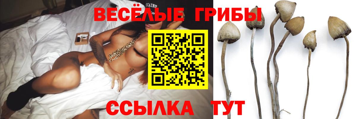 Галлюциногенные грибы прущие грибы  Вход с VPN  Туапсе 